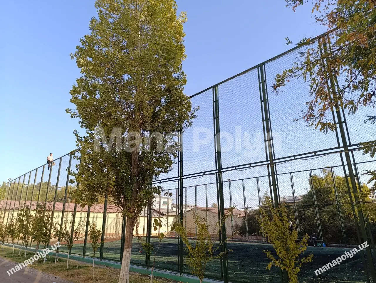 Shaxriston metro, 117-maktab